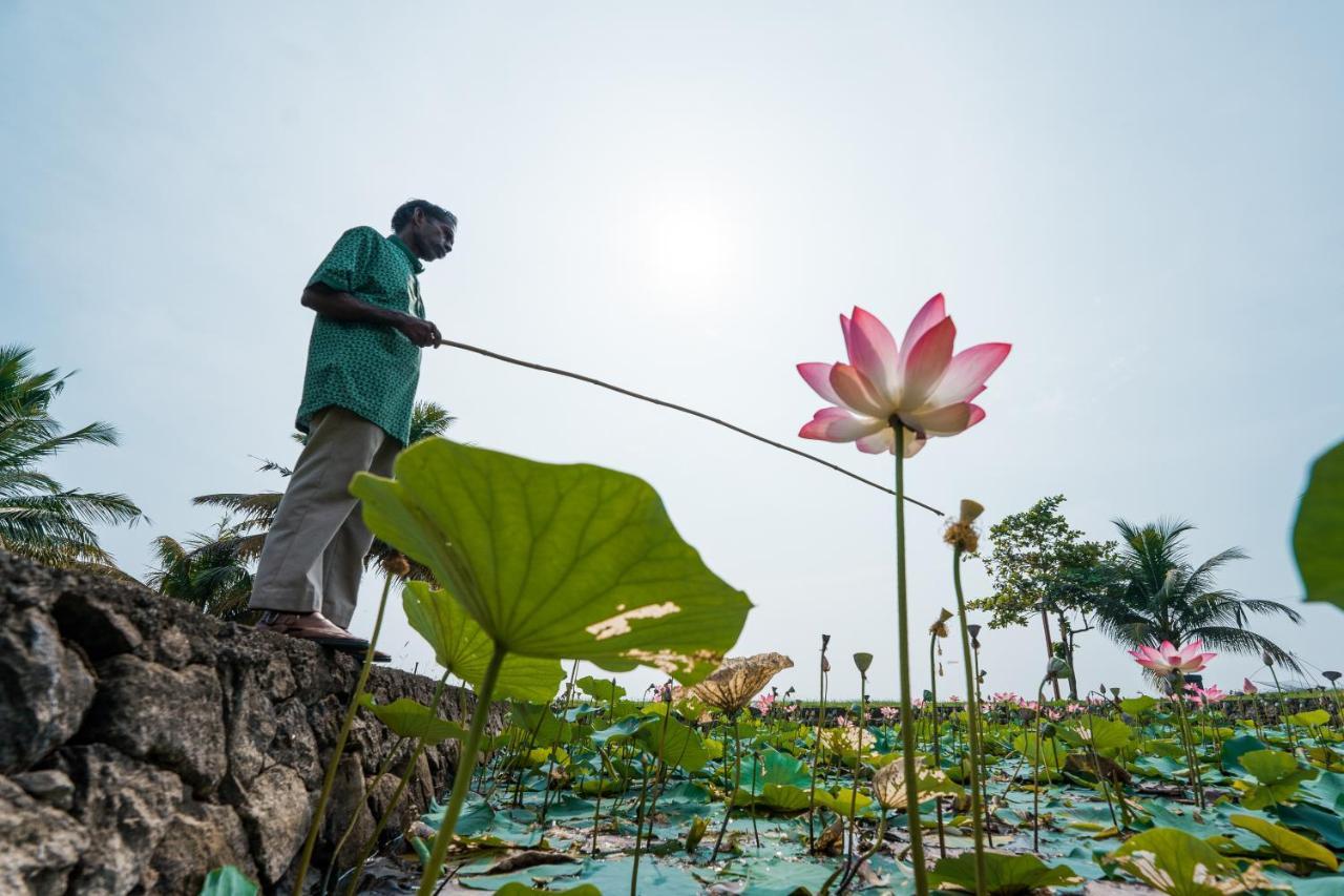 Alappuzha Ama Stays & Trails, Pathiramanal Villa מראה חיצוני תמונה